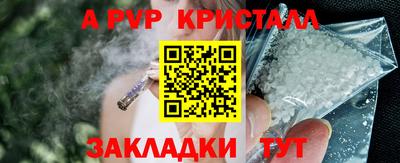 ПСИЛОЦИБИНОВЫЕ ГРИБЫ Гусев