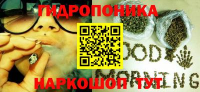 дурь Гусиноозёрск