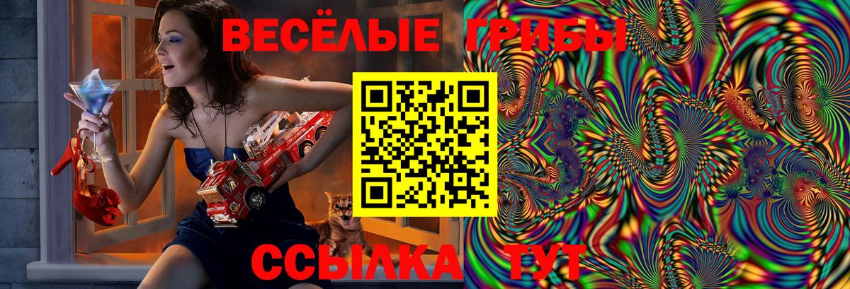 Галлюциногенные грибы мицелий Медногорск