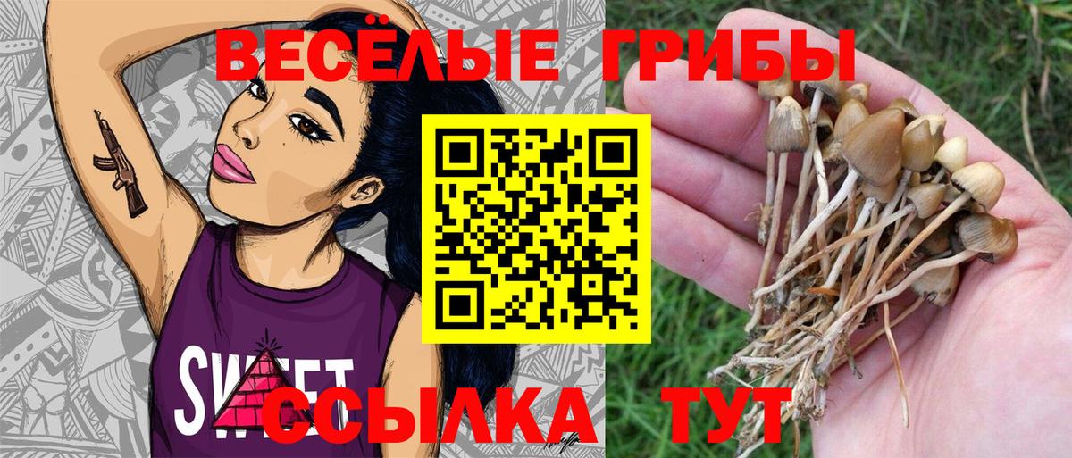 Псилоцибиновые грибы Magic Shrooms  Вход с VPN  Медногорск 